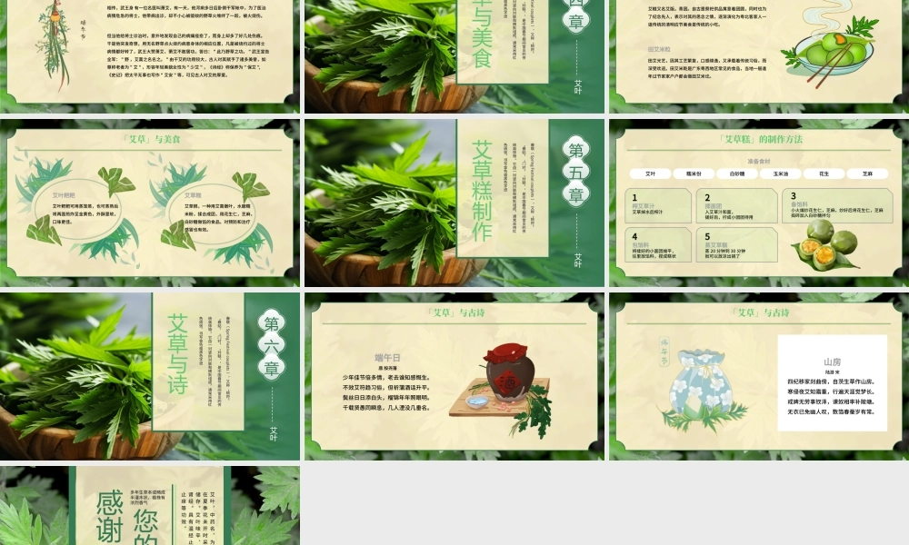 绿色中国风艾草的知识介绍 .pptx