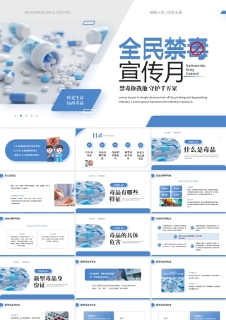 蓝色简约风全民禁毒宣传月.pptx