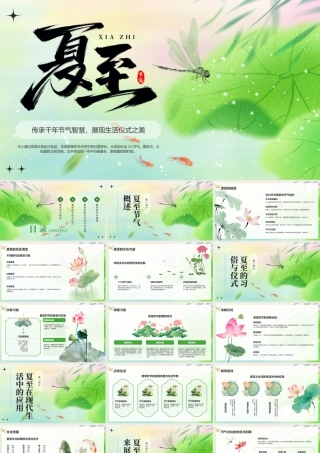 绿色小清新夏至节气介绍 .pptx
