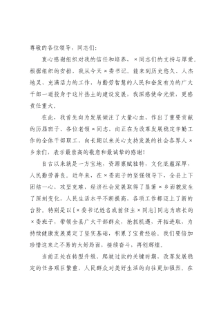某委书记在全县领导干部大会上的任职表态发言.docx