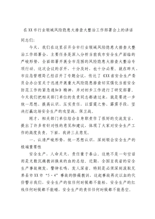 在行业领域风险隐患大排查大整治工作部署会上的讲话.docx