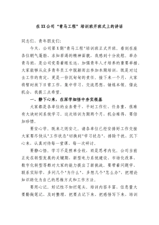 在XX公司“青马工程”培训班开班式上的讲话.docx