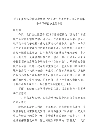 在XX镇2026年度巡察整改“回头看”专题民主生活会会前集中学习研讨会上的讲话.docx