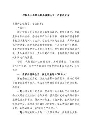 在国企主要领导职务调整会议上的表态发言.docx