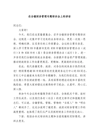 在全镇财务管理专题培训会上的讲话.docx