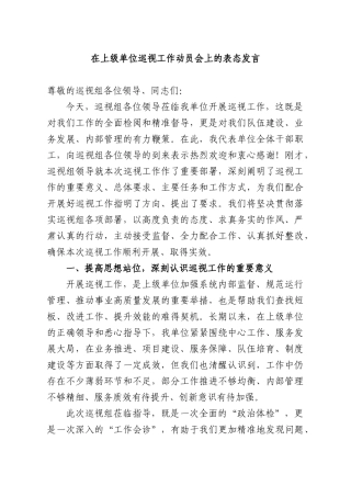 在上级单位巡视工作动员会上的表态发言.docx