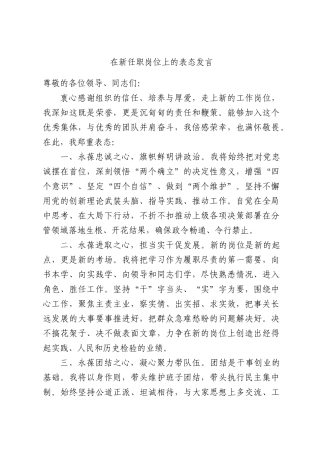 在新任职岗位上的表态发言.docx