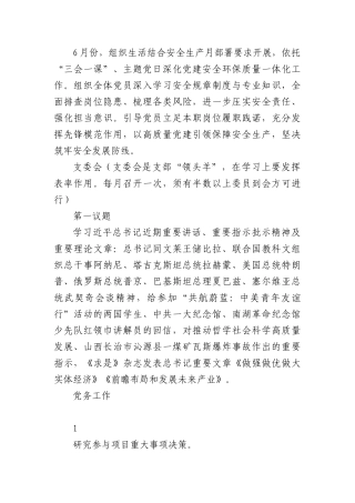 2026年6月“三会一课”及主题党日活动计划方案1.docx