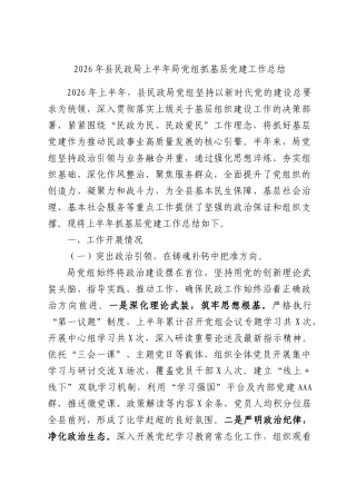 2026年县民政局上半年局党组抓基层党建工作总结.docx