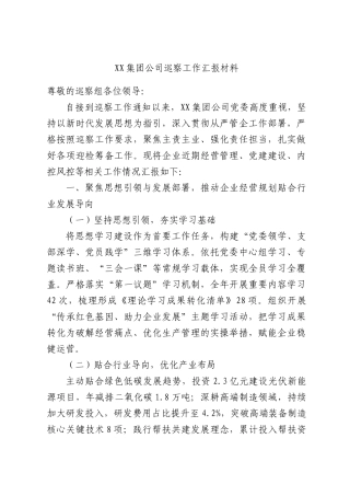 集团公司巡察工作汇报材料.docx