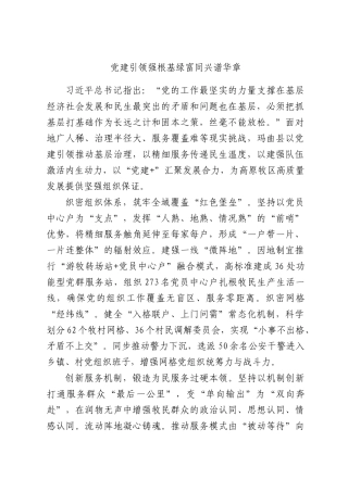 党建引领强根基绿富同兴谱华章.docx