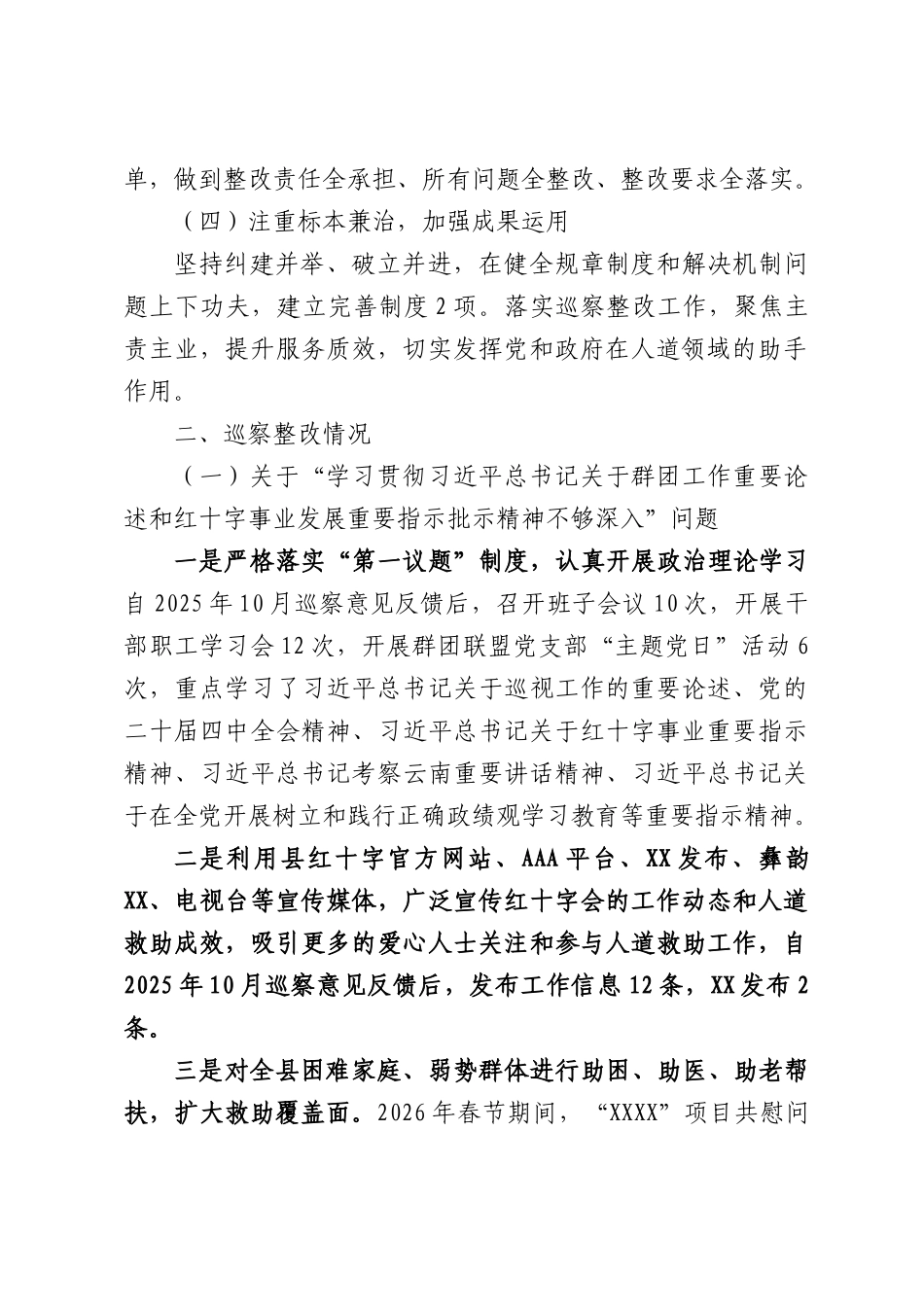 红十字会关于巡察整改进展情况的报告.docx_第2页