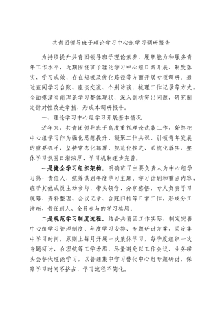共青团领导班子理论学习中心组学习调研报告.docx