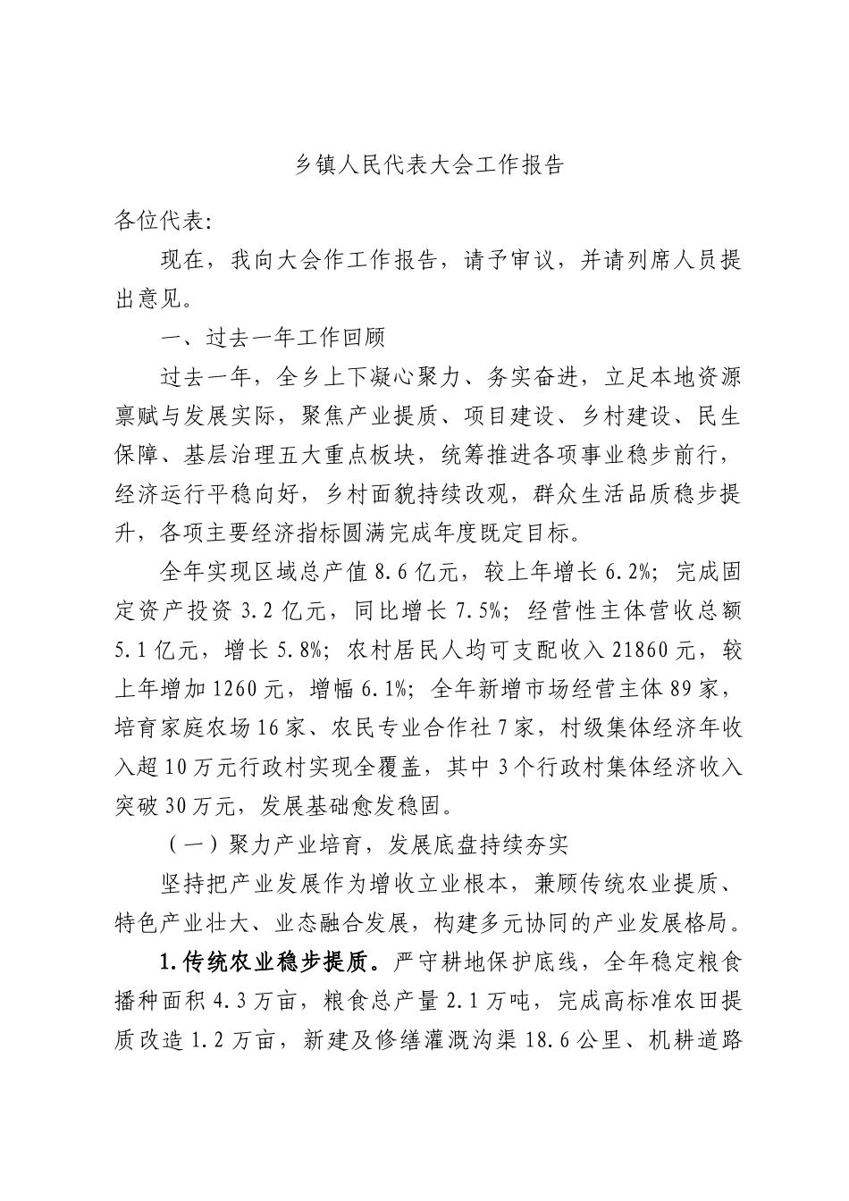 乡镇人民代表大会工作报告.docx_第1页