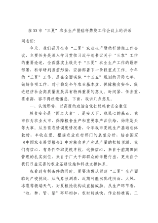 在XX市“三夏”农业生产暨秸秆禁烧工作会议上的讲话.docx