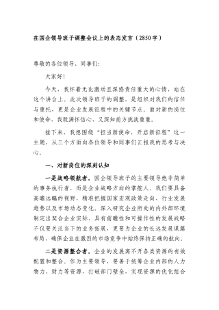 在国企领导班子调整会议上的表态发言（2850字）.docx