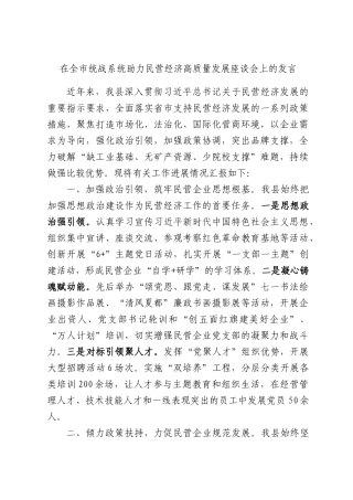 在全市统战系统助力民营经济高质量发展座谈会上的发言.docx