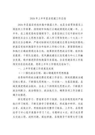 2026年上半年某党建工作总结.docx