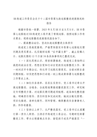 街道工作委员会关于十二届委第九轮巡察整改进展情况的报告.docx
