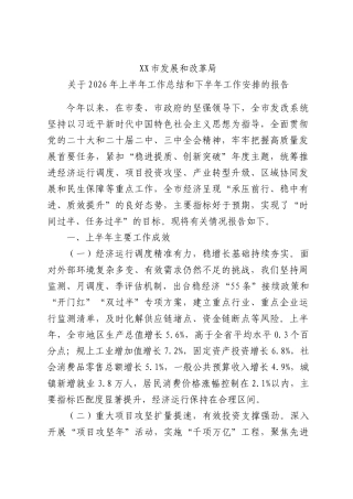 发展和改革局关于2026年上半年工作总结和下半年工作安排的报告.docx