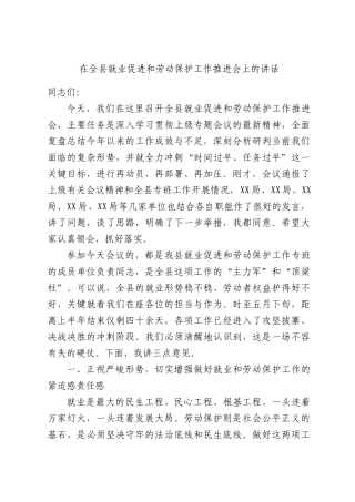 在全县就业促进和劳动保护工作推进会上的讲话.docx