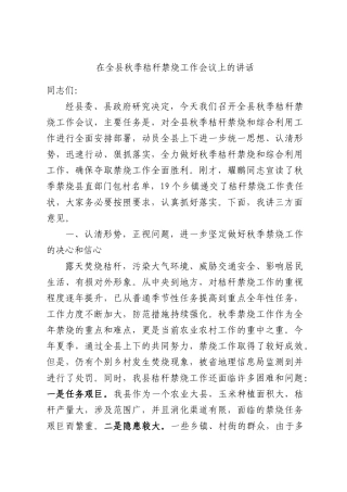 在全县秋季秸秆禁烧工作会议上的讲话.docx