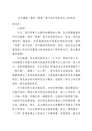 在全镇新一届村“两委”班子成员培训会议上的讲话.docx
