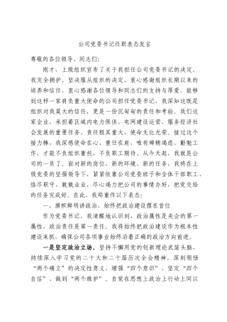 公司党委书记任职表态发言.docx
