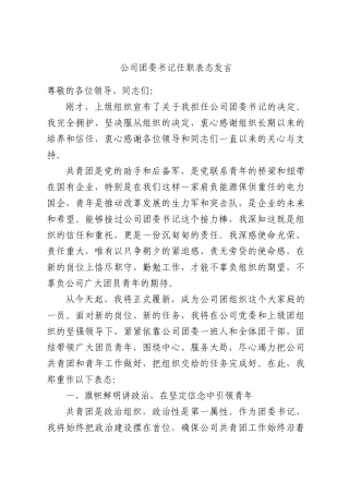 公司团委书记任职表态发言.docx