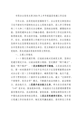 市局办公室党支部2026年上半年抓基层党建工作总结.docx