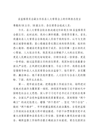 监察委员会副主任在人大常委会上的任职表态发言.docx