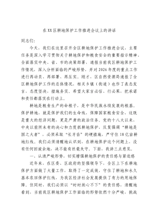 在耕地保护工作推进会议上的讲话.docx