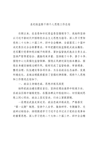 纪检监察干部个人思想工作总结.docx