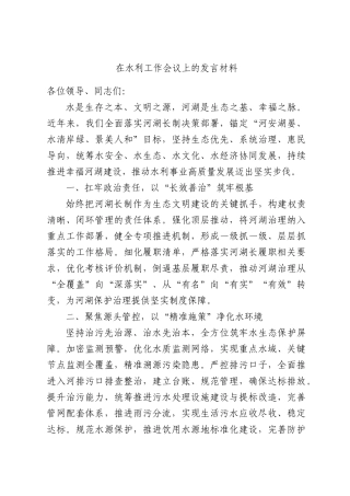 在水利工作会议上的发言材料.docx