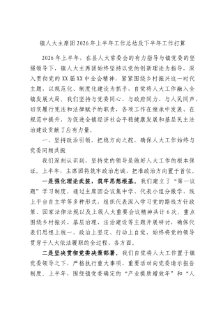 镇人大主席团2026年上半年工作总结及下半年工作打算.docx