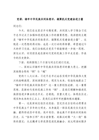 党课：铸牢中华民族共同体意识，凝聚机关党建奋进力量.docx