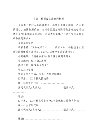 乡镇、村项目实施合同模板.docx