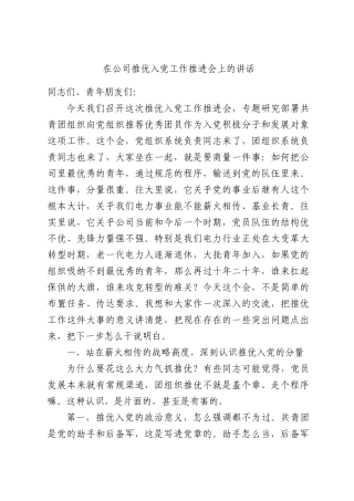 在公司推优入党工作推进会上的讲话.docx