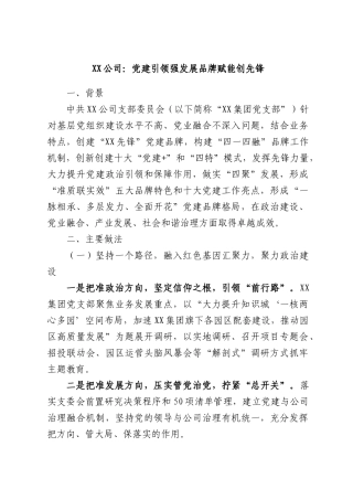 XX公司：党建引领强发展品牌赋能创先锋.docx