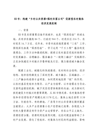XX市：构建“乡村公共资源+强村共富公司”促新型农村集体经济发展机制.docx