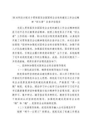 XX水利设计院关于贯彻落实全国国有企业党的建设工作会议精神“回头看”自查评估报告.docx