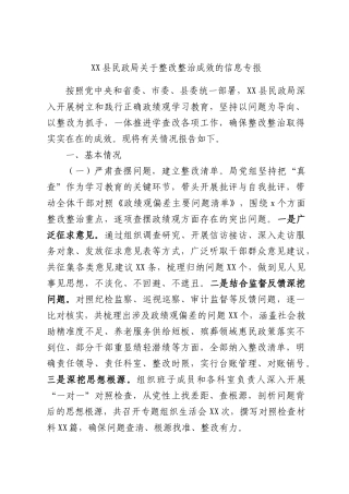XX县民政局关于整改整治成效的信息专报.docx