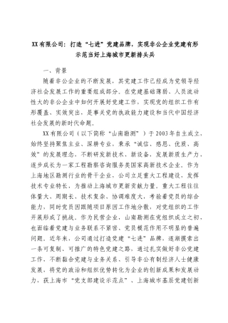 XX有限公司：打造“七进”党建品牌，实现非公企业党建有形示范当好上海城市更新排头兵.docx