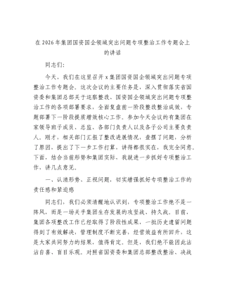 国资国企领域突出问题专项整治工作专题会上的讲话.docx