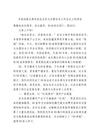 市政协副主席在协会会员大会暨安全工作会议上的讲话.docx