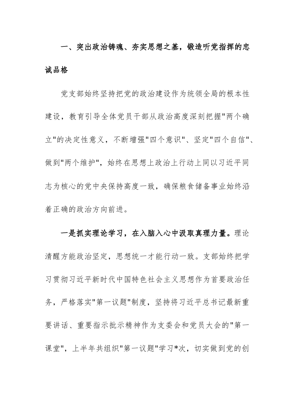 公司党支部2026年上半年全面从严治党工作总结范文.docx_第2页