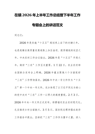 在镇2026年上半年工作总结暨下半年工作专题会上的讲话范文.docx