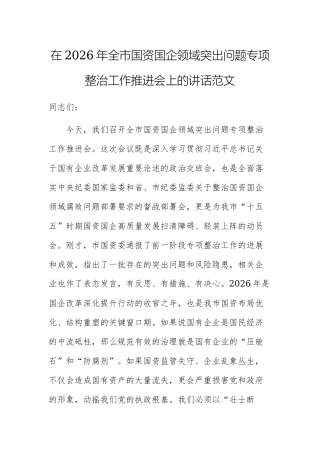 在2026年全市国资国企领域突出问题专项整治工作推进会上的讲话范文.docx