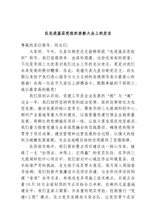 在先进基层党组织表彰大会上的发言.doc
