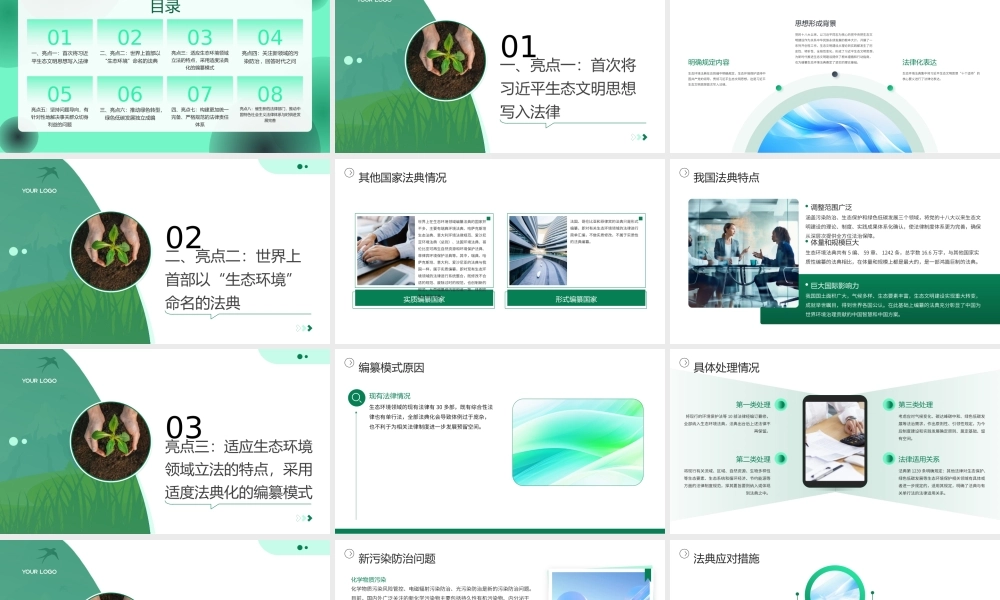 PPT：2026生态环境法典护航美丽中国建设党课.pptx